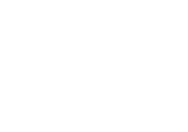 ZicraMind logo